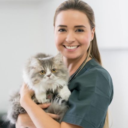 Pet Sitting (Cats)