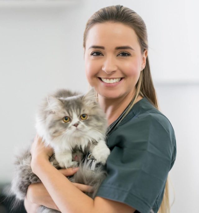 Pet Sitting (Cats)